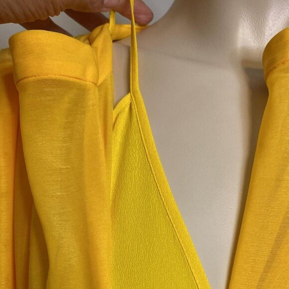 PROENZA SCHOULER SHEER DRESS WITH CAPE SLEEVES AND PLEATED SKIRT - Picture 10 of 13